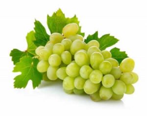 Польза зеленого винограда
