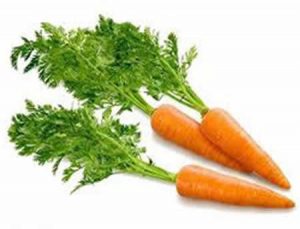 Польза ботвы моркови