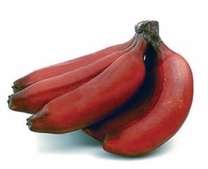 Польза красных бананов