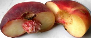 Чем полезны плоские персики