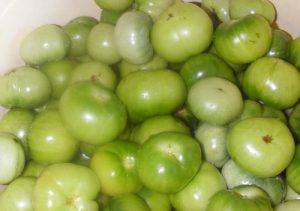 Вред зеленых помидоров
